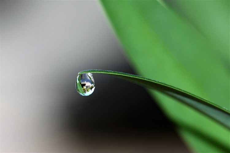 氨氮 氨氮