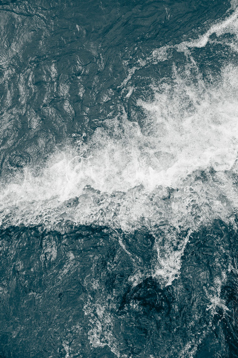 总氮测定仪 总氮测定仪