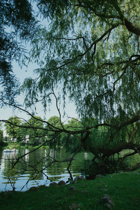 氨氮 氨氮