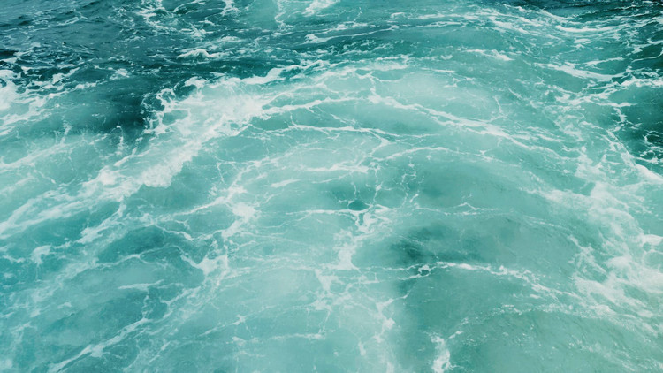 总氮测定仪 总氮测定仪