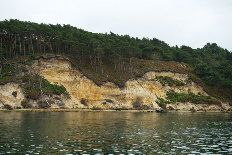 水质检测 水质检测