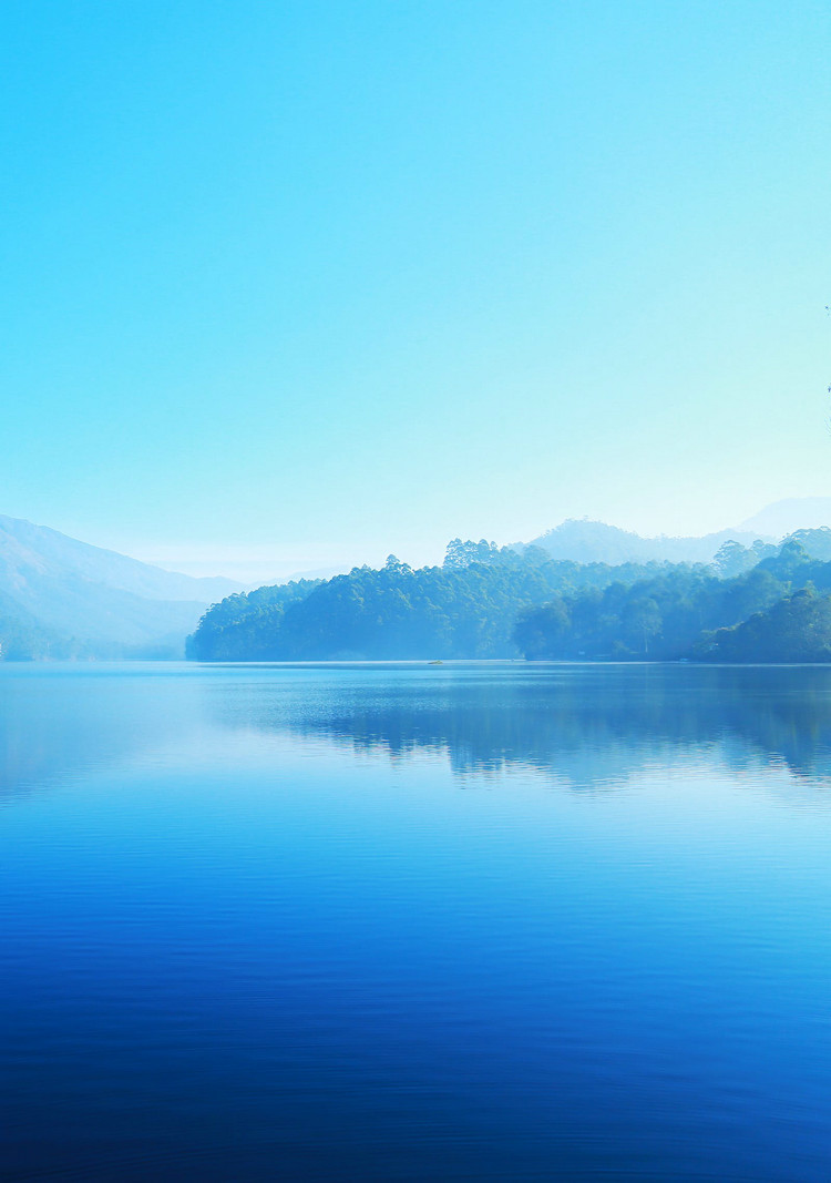 COD测定仪 COD测定仪