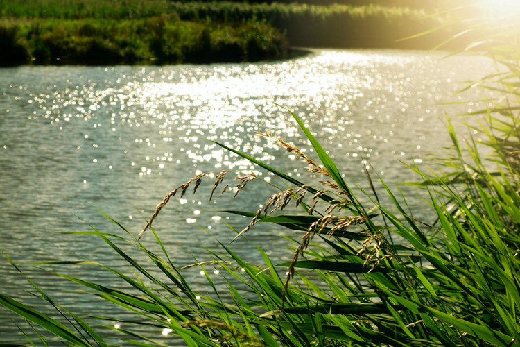 氨氮 氨氮