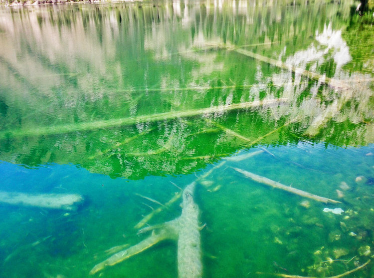 余氯测定仪 余氯测定仪