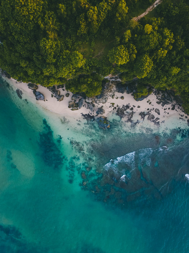 浊度在线分析仪 浊度在线分析仪