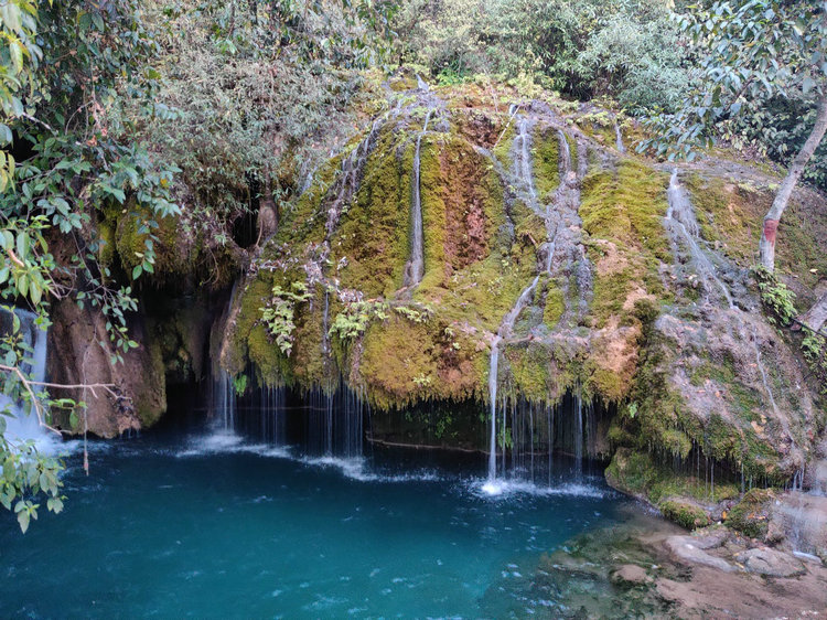 余氯 余氯