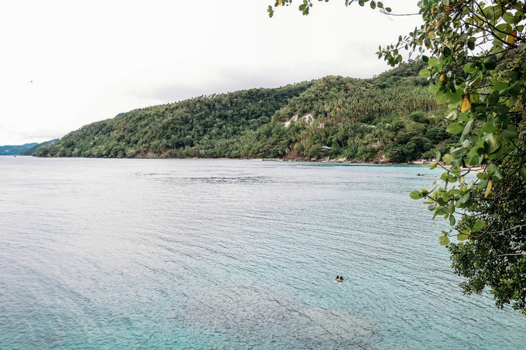 余氯在线检测监测分析仪 余氯在线检测监测分析仪
