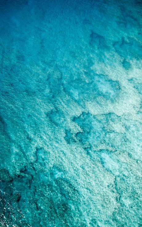 便携式浊度仪 便携式浊度仪