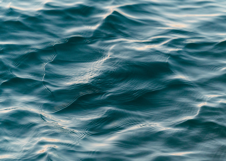 浊度测量 浊度测量
