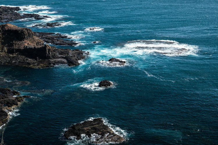 浊度计 浊度计