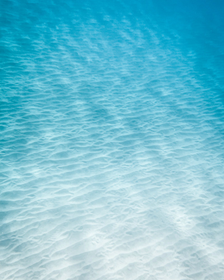 浊度在线检测仪 浊度在线检测仪