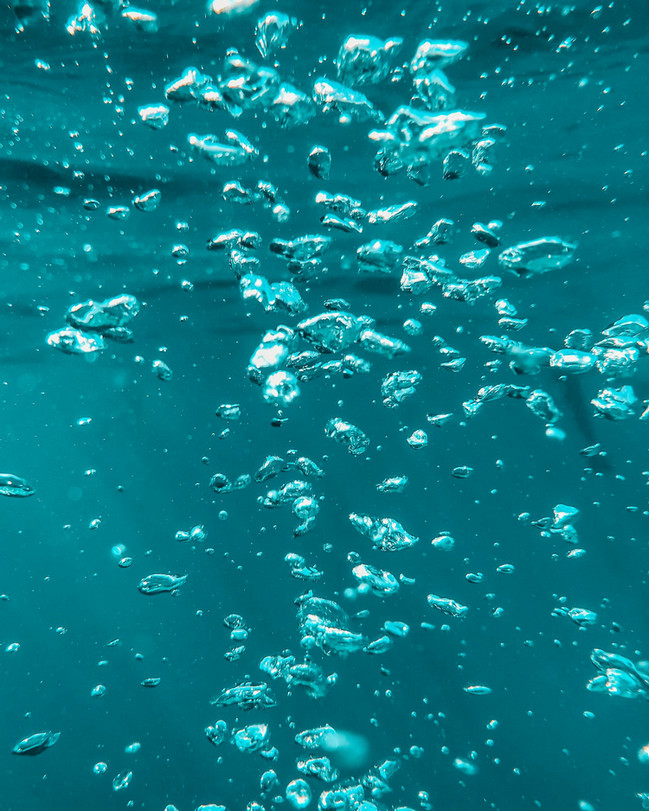 浊度计 浊度计
