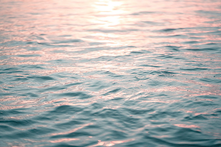 浊度仪传感器 浊度仪传感器