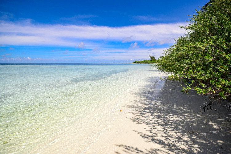 浊度仪 浊度仪