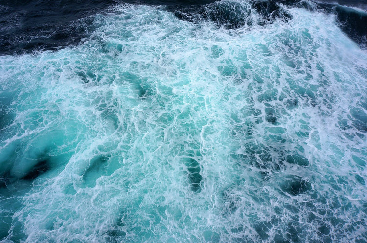 浊度测定仪 浊度测定仪