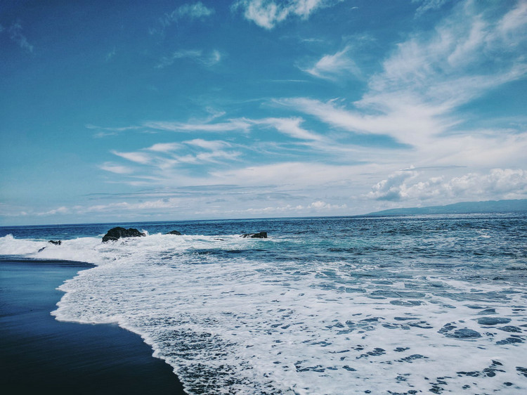 浊度仪 浊度仪