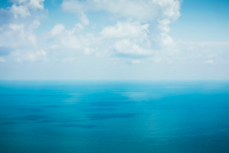 浊度 浊度