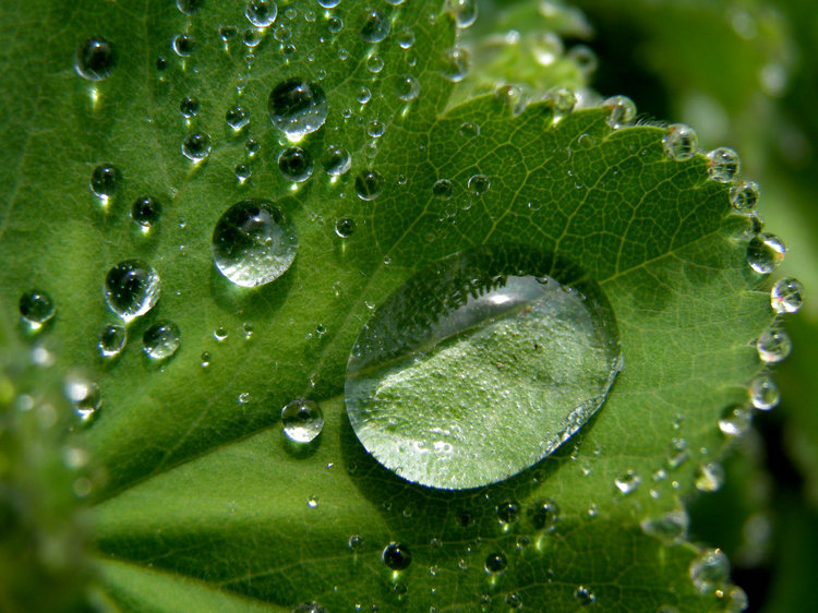 氨氮传感器 氨氮传感器