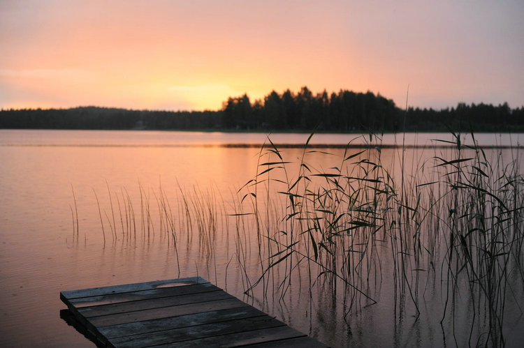 水质氨氮测定仪 水质氨氮测定仪
