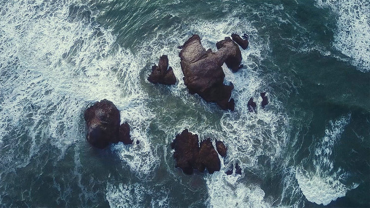 氨氮测定仪 氨氮测定仪