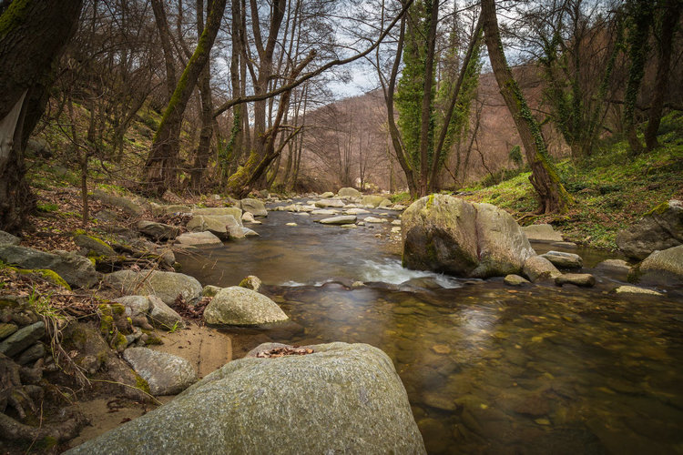 氨氮 氨氮