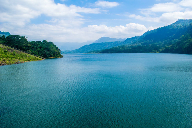 氨氮检测仪 氨氮检测仪