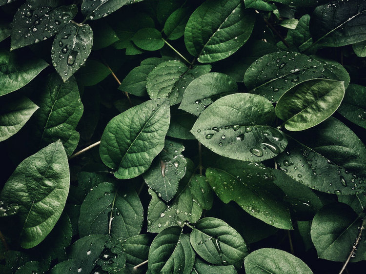 氨氮 氨氮