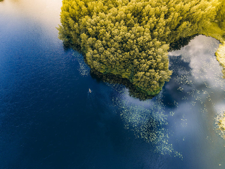 氨氮总氮 氨氮总氮