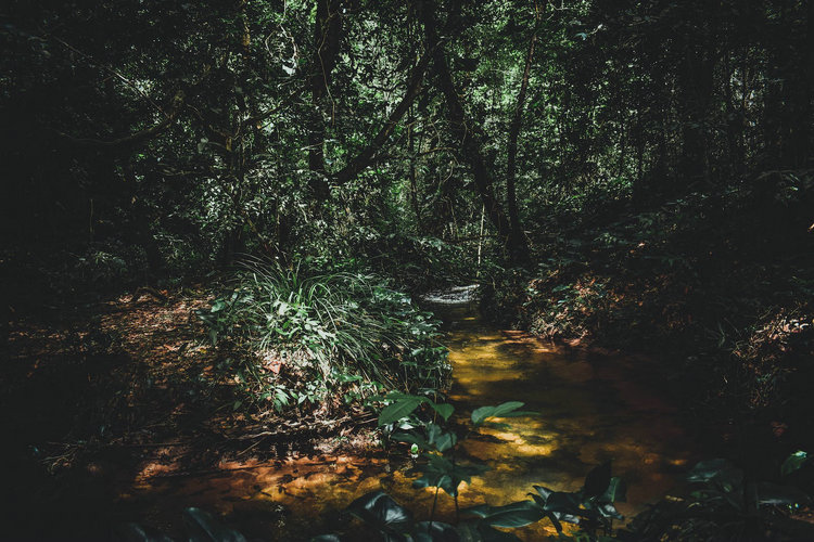 氨氮检测仪 氨氮检测仪