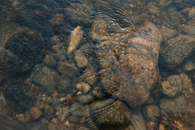 氨氮 氨氮