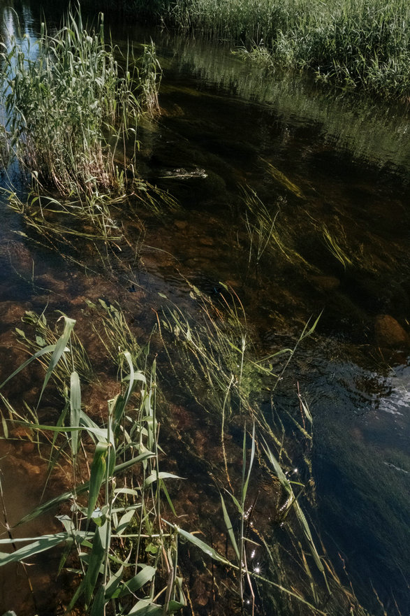 氨氮 氨氮