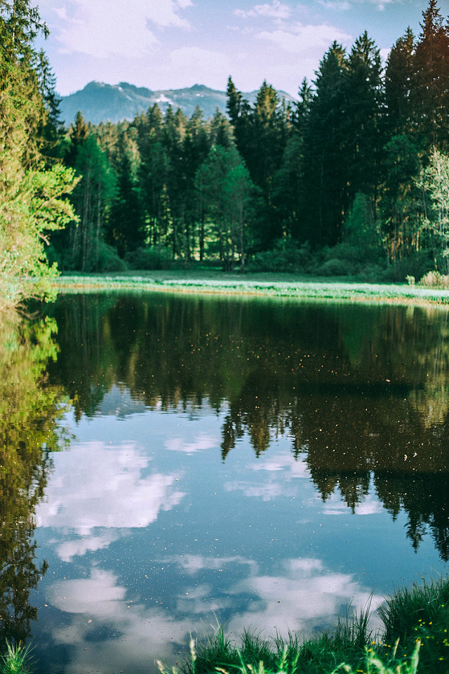 氨氮 氨氮