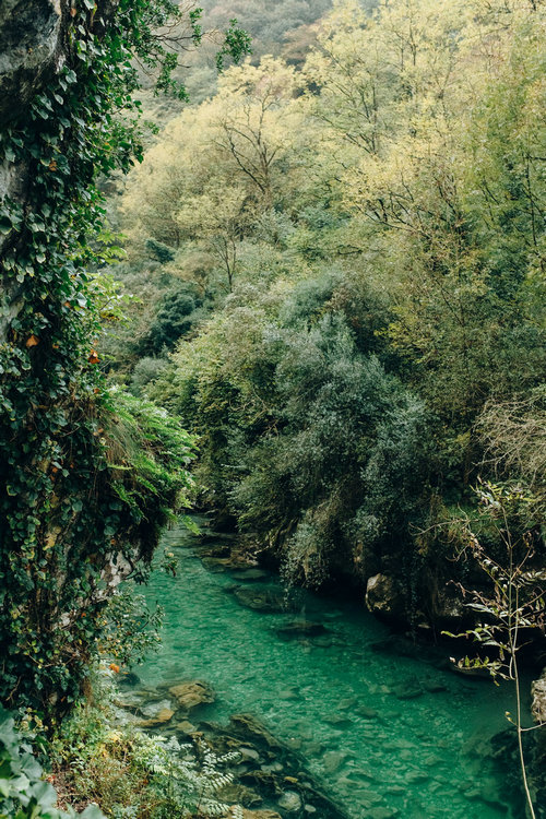 氨氮 氨氮