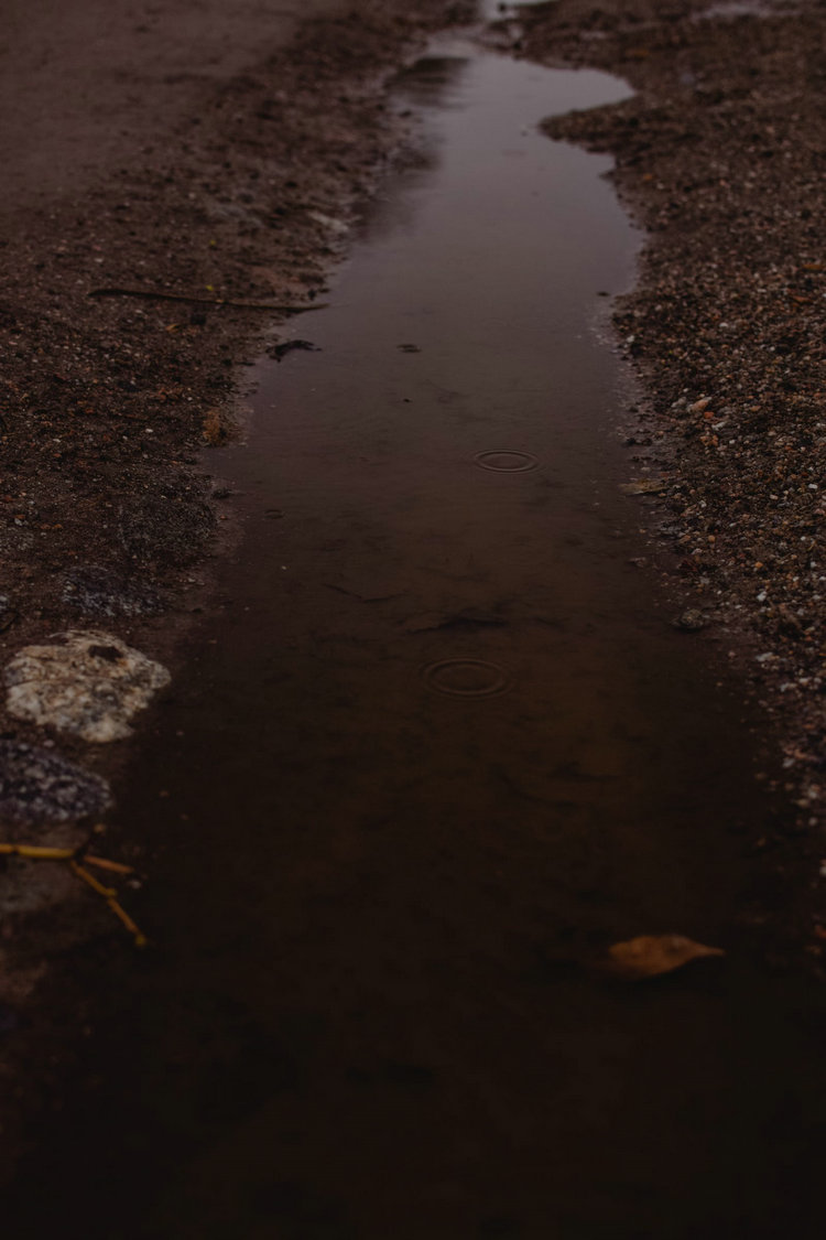 氨氮 氨氮