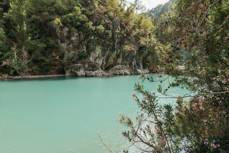 氨氮 氨氮