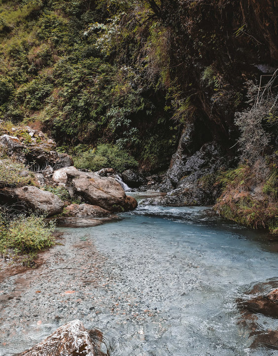 氨氮 氨氮