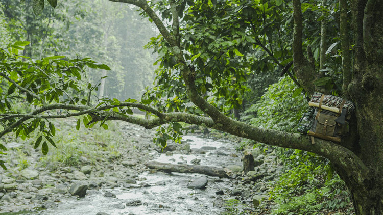 氨氮 氨氮