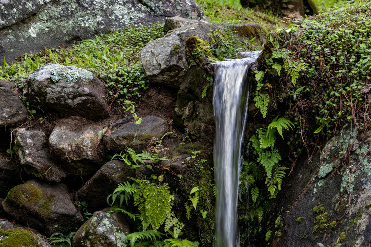 氨氮 氨氮