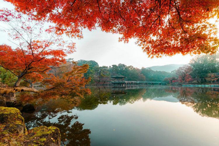 氨氮 氨氮