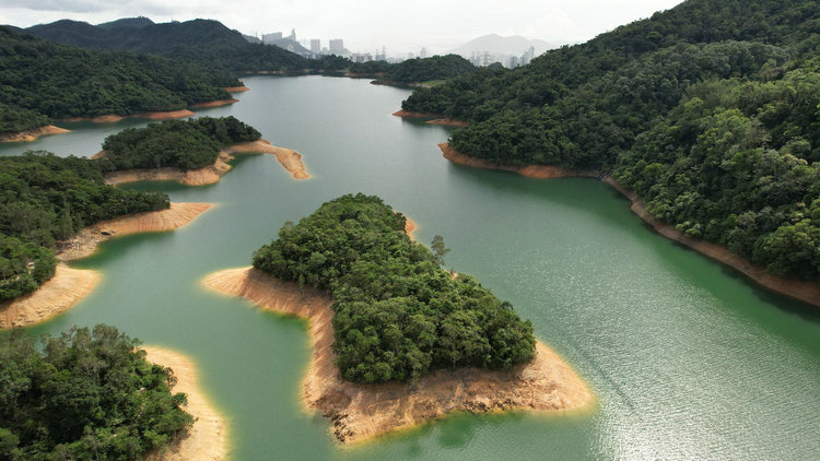 氨氮 氨氮