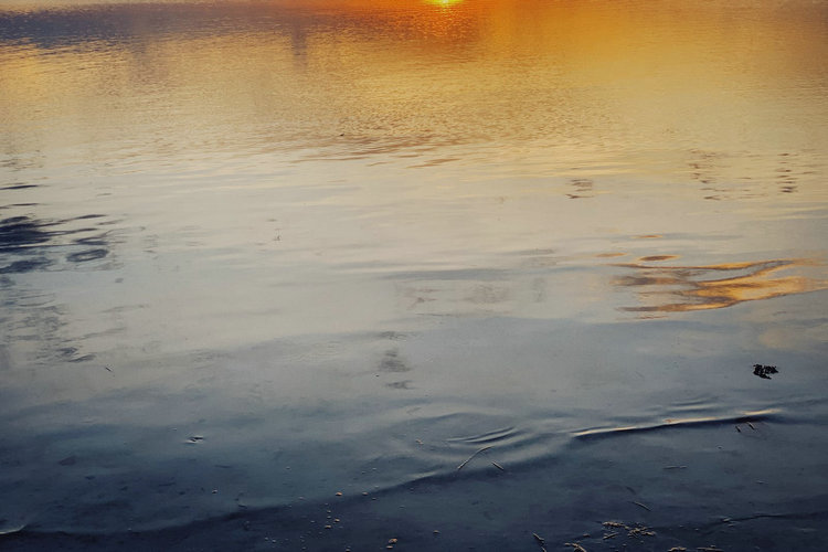 氨氮 氨氮