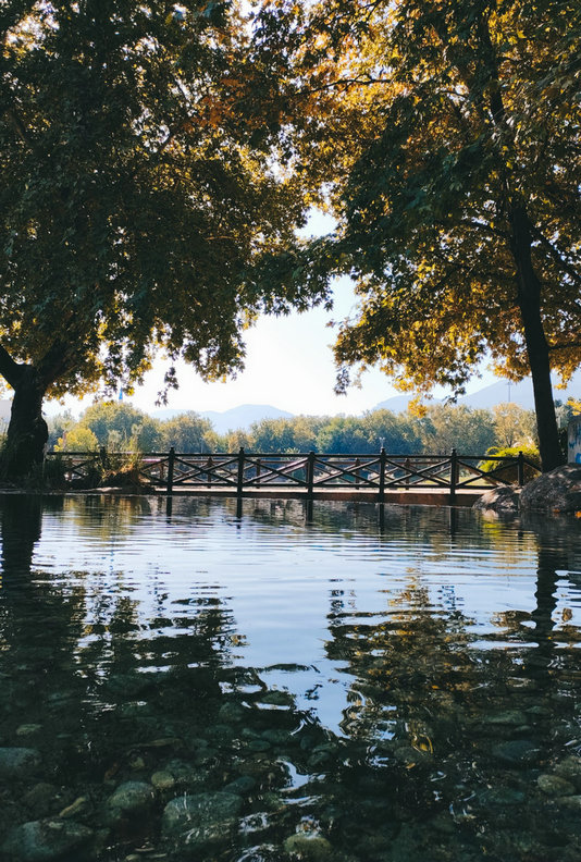 氨氮 氨氮