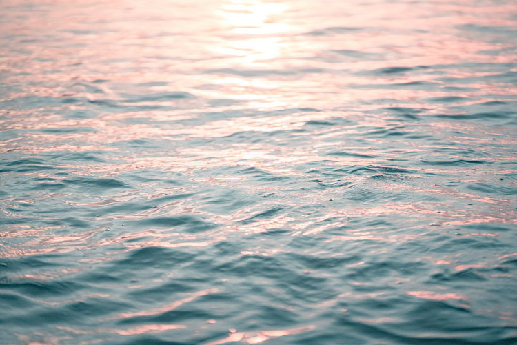 浊度仪 浊度仪