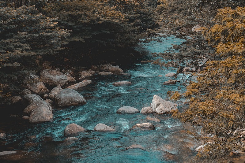 1687174889693705.jpg 53.jpg
