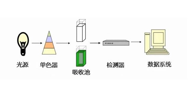 1734919113958574.jpg 25.jpg