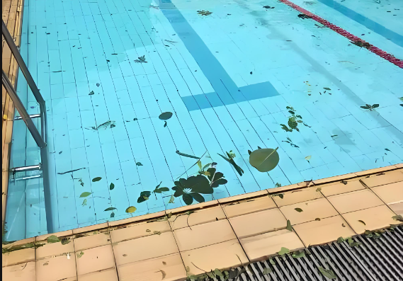 游泳池清洁卫生 游泳池余氯在线星空彩票app官方下载入口苹果