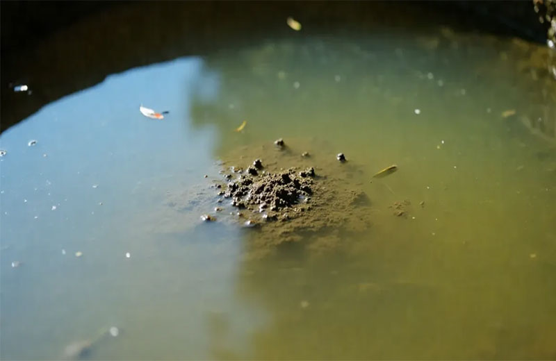 精密水质监测工具及其关键应用领域.jpg 低量程水质星空(中国)体育 官方网站