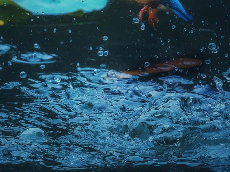水质监测仪原理和优势及常见问题分析.jpg 水质总磷在线监测仪
