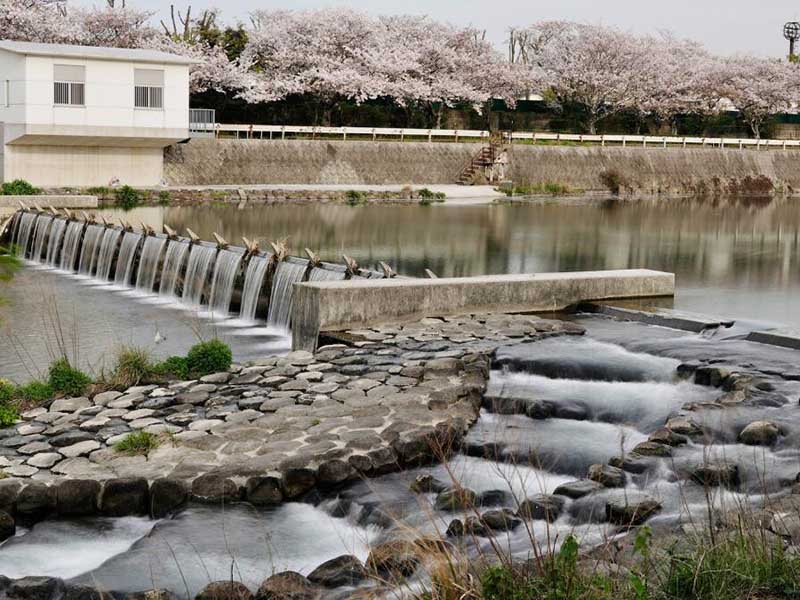 总氯星空彩票app官方下载入口苹果其快速、准确的水质分析工具 大兴安岭水质总氯分析仪