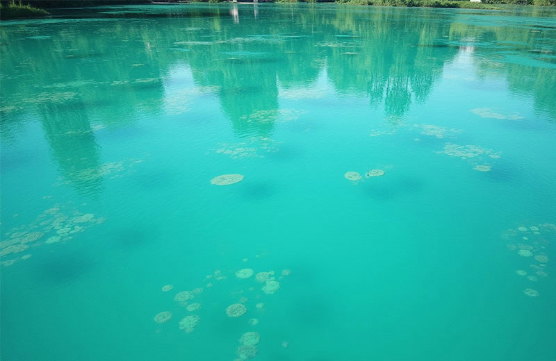 燃煤锅炉水质检测